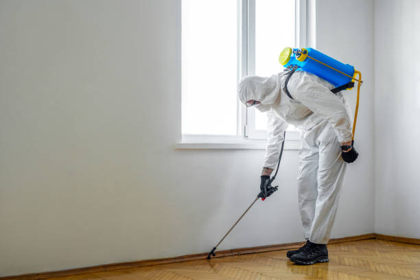Best Emergency Pest Control  in Southmayd, TX