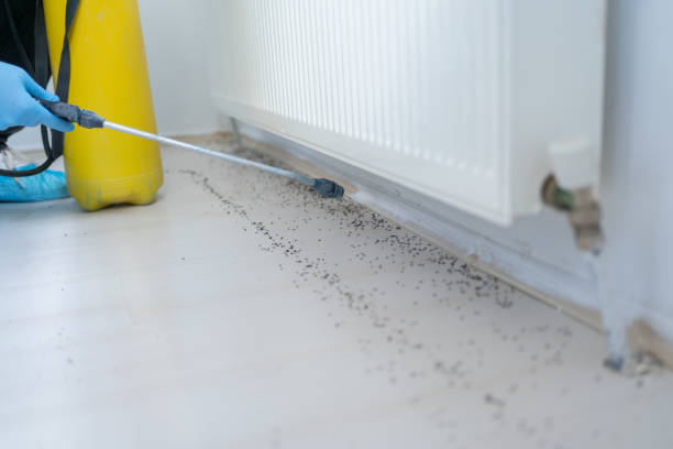 Best Exterminator Services  in Southmayd, TX