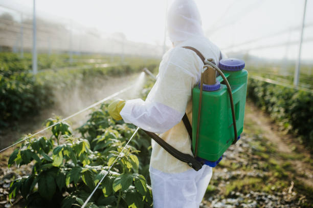 Southmayd, TX Pest Control Company